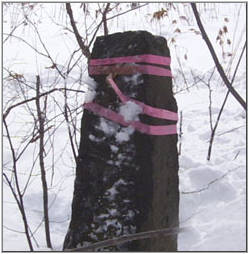 Boundary Markers